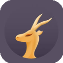 羚羊VPN免费版